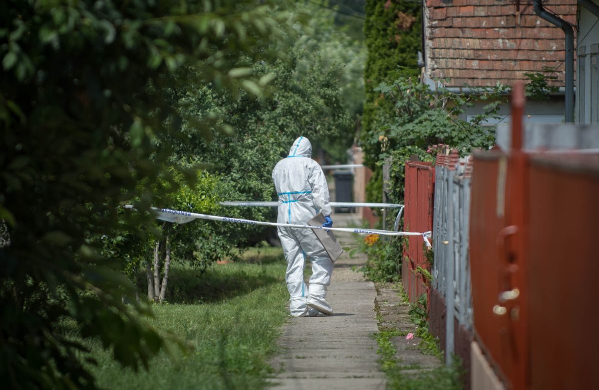Emberölés miatt hosszú időre börtönbe kerülhet az unoka