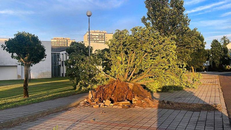 Hatalmas károkat okozott a hétfői vihar a Debreceni Egyetemen