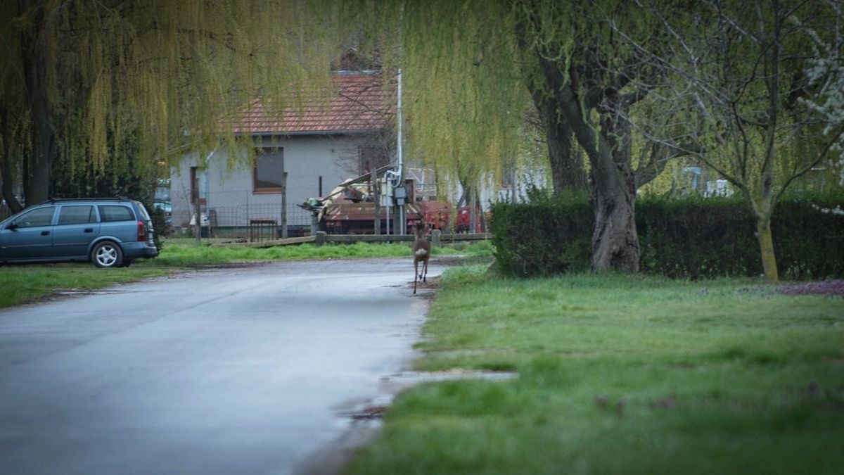 Hajdú-Bihar is a legfertőzöttebb területek között szerepel