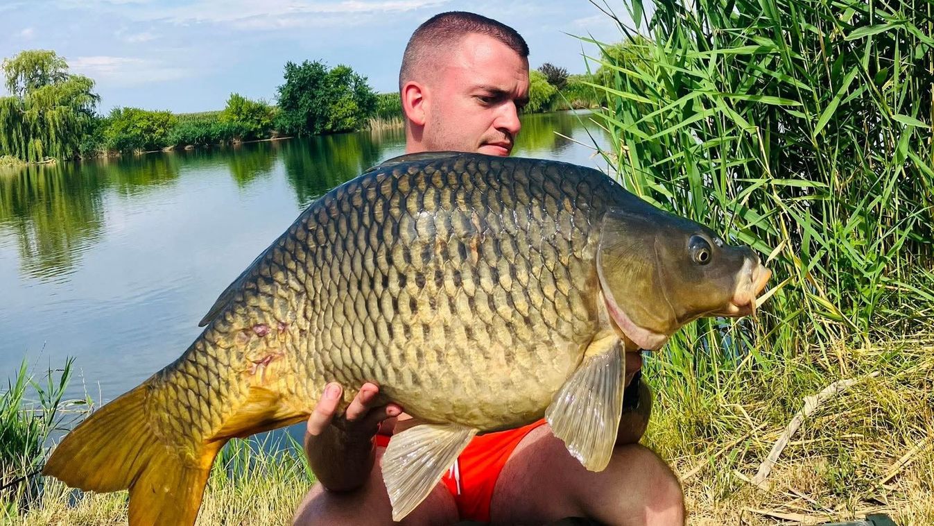 A viharban is jöttek a szebbnél szebb pontyok a hajdú-bihari tavon