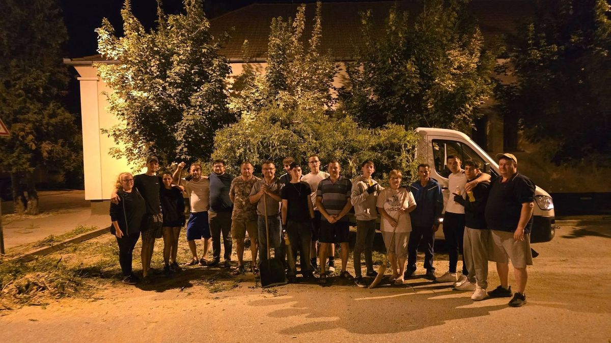 150 éves japánakác fát csavart ki a viharos szél Hajdú-Biharban, helyi fiatalok is segítették a tér rendezését