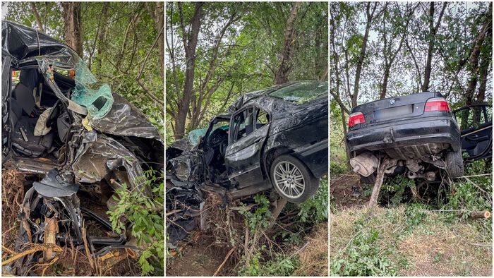 A levegőben állt meg az autó! Így van most a szováti úton fába csapódott BMW sofőrje - fotókkal!