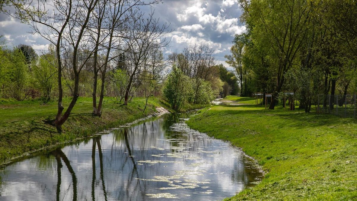 Így teljesített az elmúlt egy évben a Debrecen környezetét ellenőrző rendszer