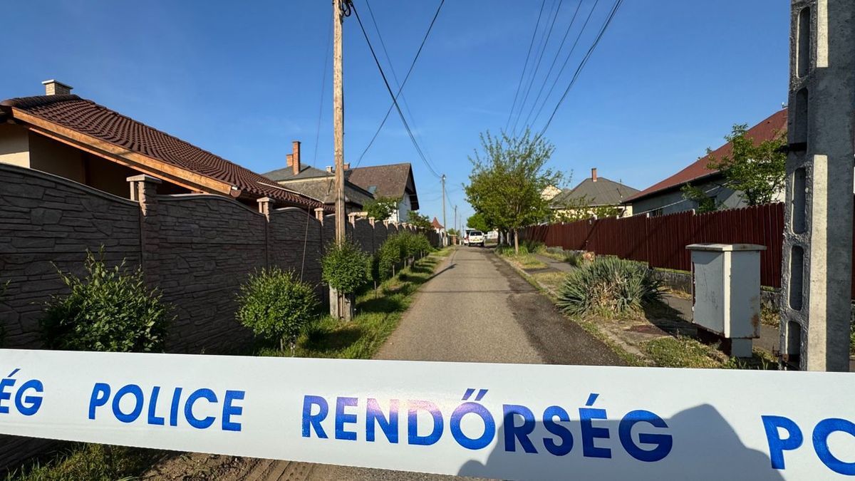 Halálra szurkálta a feleségét, majd magával is végezni akart egy férfi