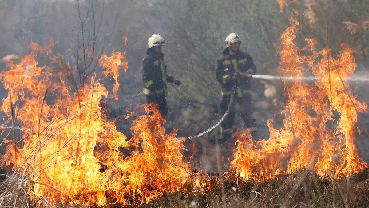 Elkeserítő a helyzet, óriási területek lángolnak Hajdú-Biharban