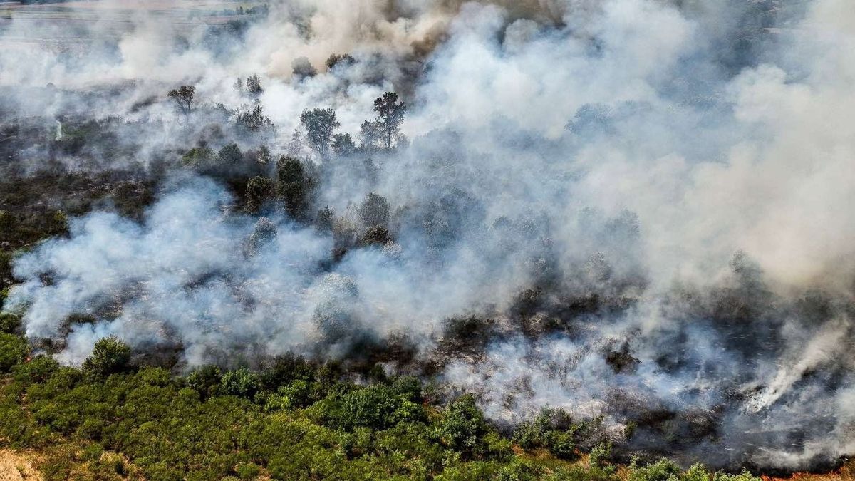 Lángok ölelték körül a település határát, három város tűzoltói küzdöttek a pokoli tűzzel!