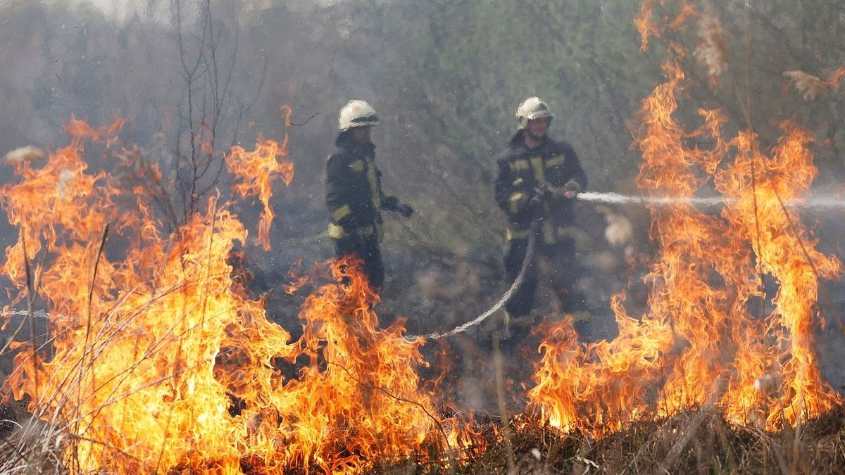 Tűz ütött ki a 35-ös főútnál, négy város tűzoltói küzdenek a lángokkal, erősítést is kértek!