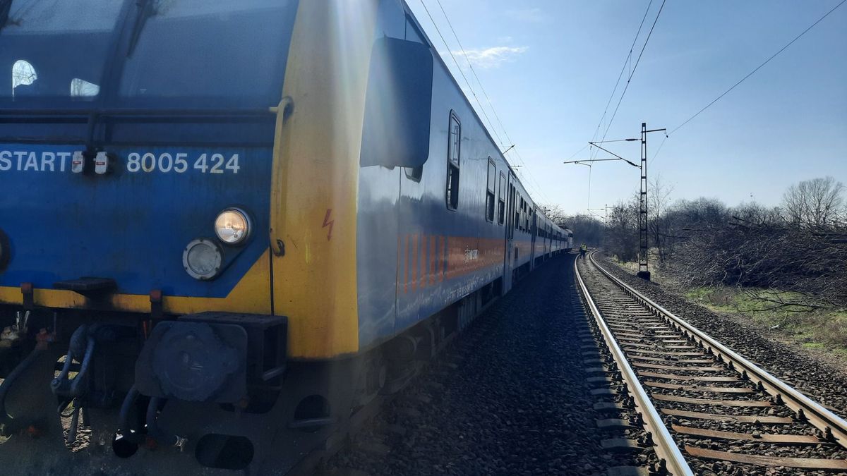 Döbbenetes jelenet a vonaton: elképesztő dolgot művelt saját édesanyjával a férfi