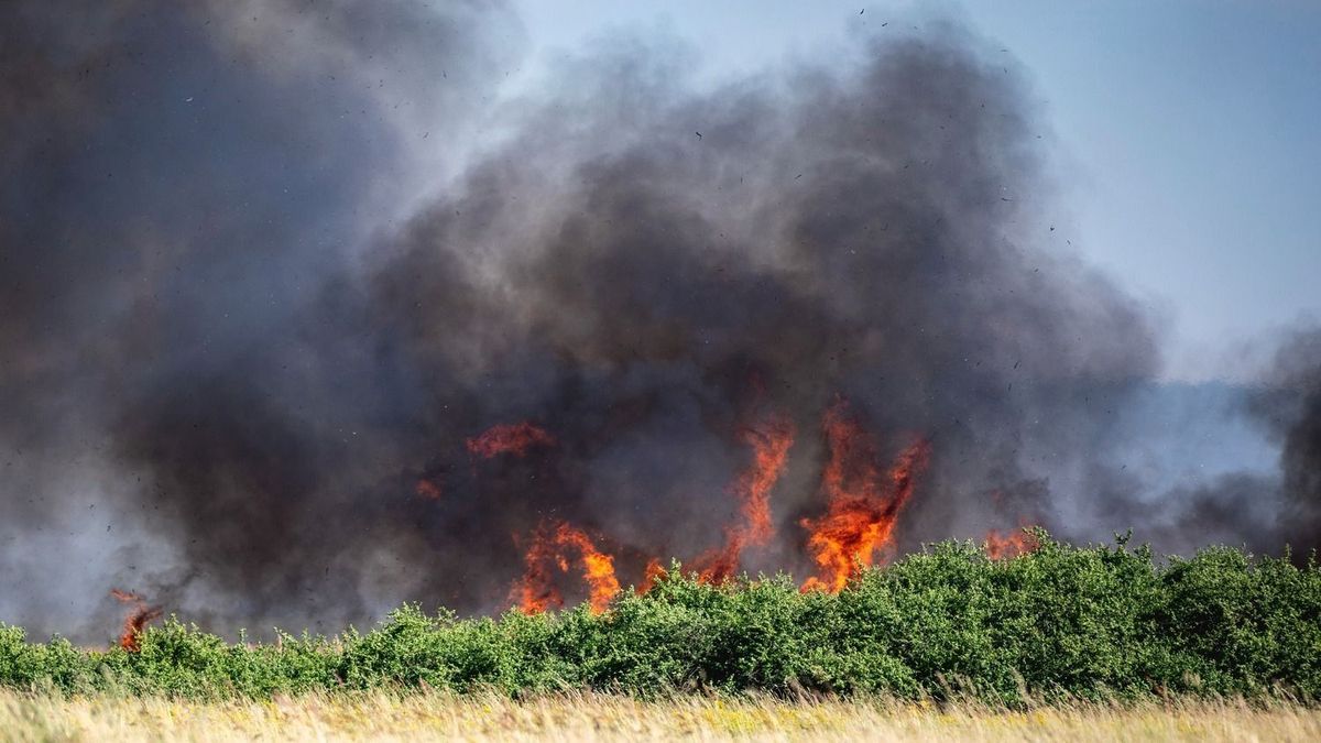Több hektáron pusztítottak a lángok, három településről érkeztek tűzoltók