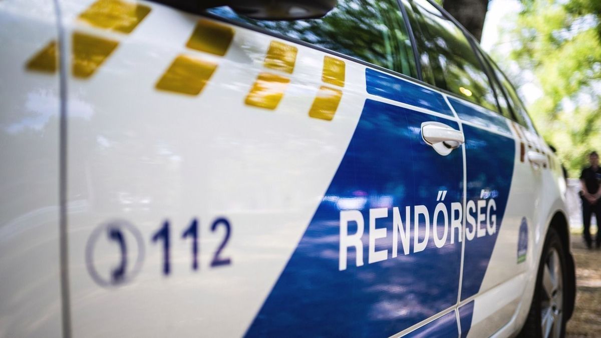 Eltűnt egy 15 éves lány Dániából, a hajdú-bihari rendőrök akadtak a nyomára