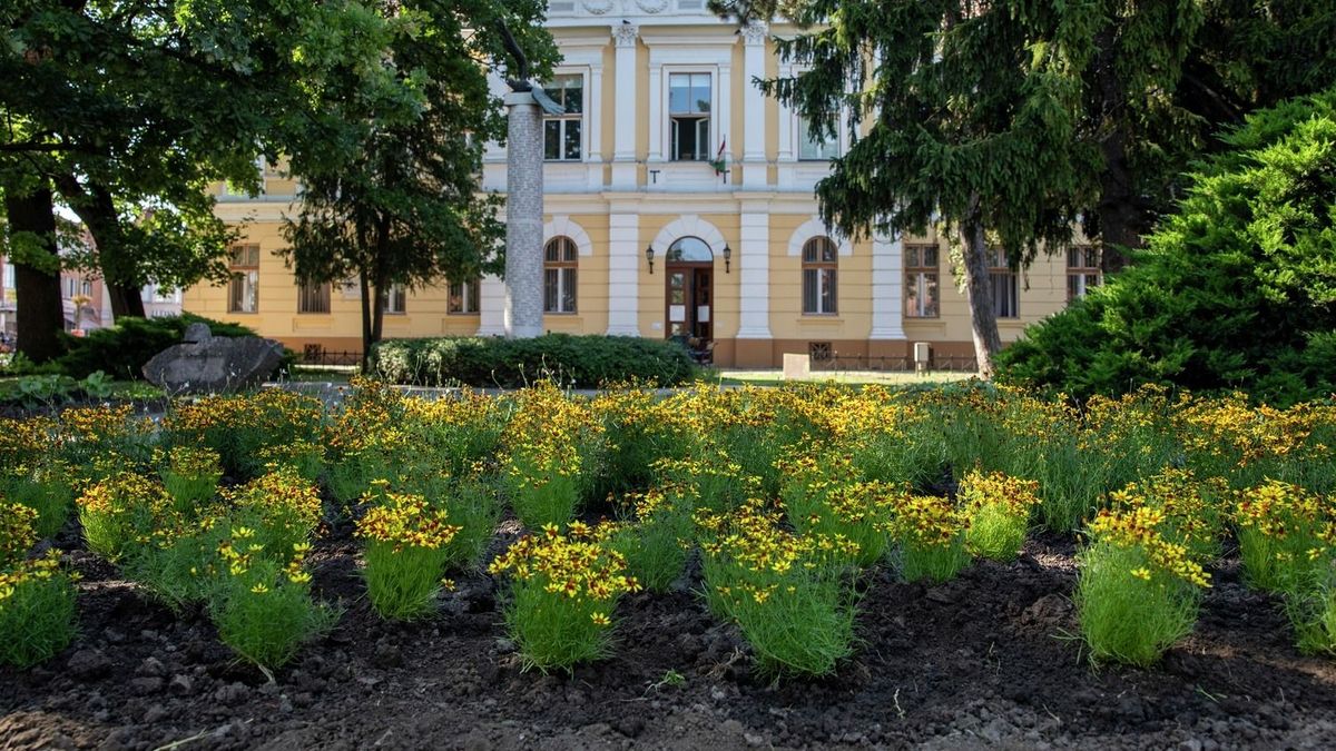 Köszönetet mondott települése lakóinak a hajdú-bihari polgármester