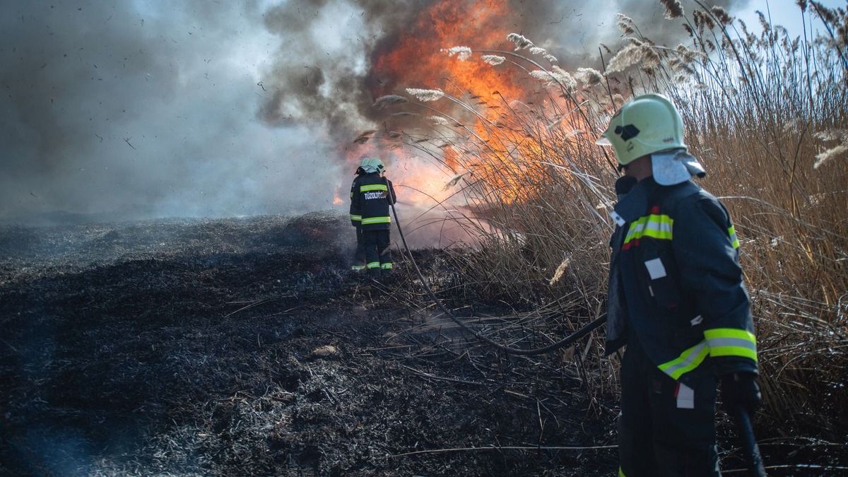 Több hektáron ég a növényzet Hajdú-Biharban, két vármegye tűzoltóit riasztották