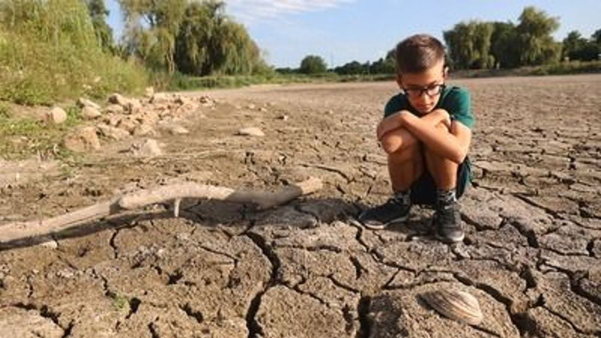 Na, még ez is: nem elég az aszály, napokon belül sivataggá alakul a hajdú-bihari térség a vízhiány miatt