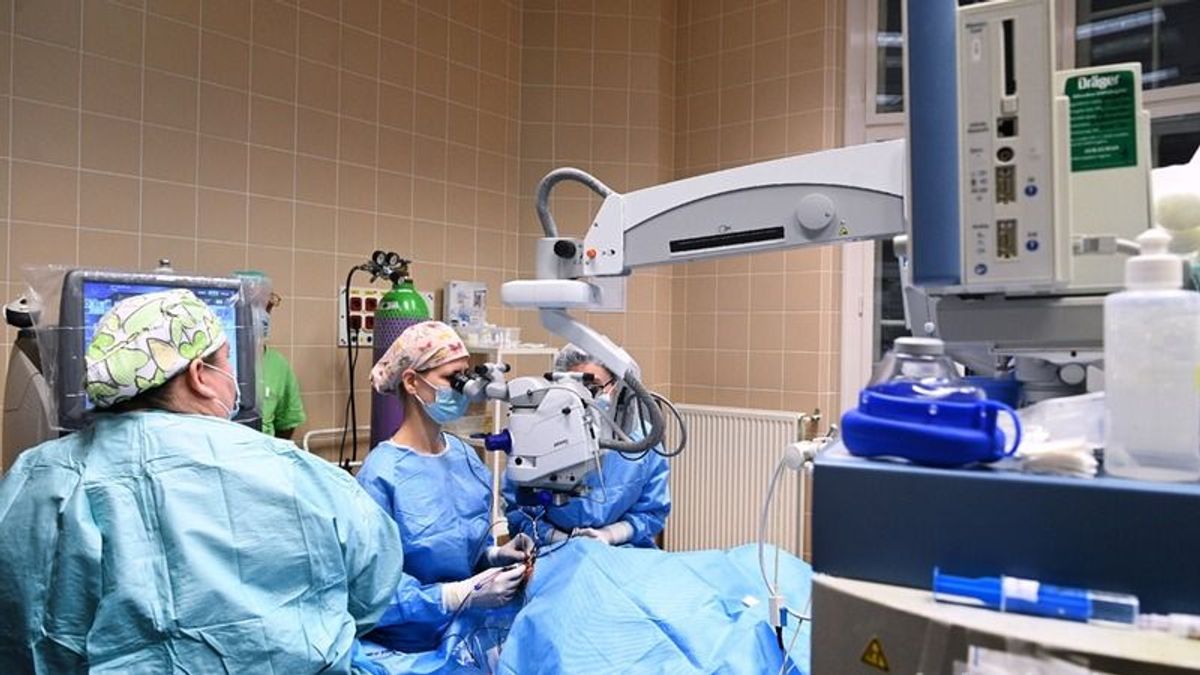 Tovább fejlődik a szakellátás, új vezetőket nevezett ki a Klinikai Központ