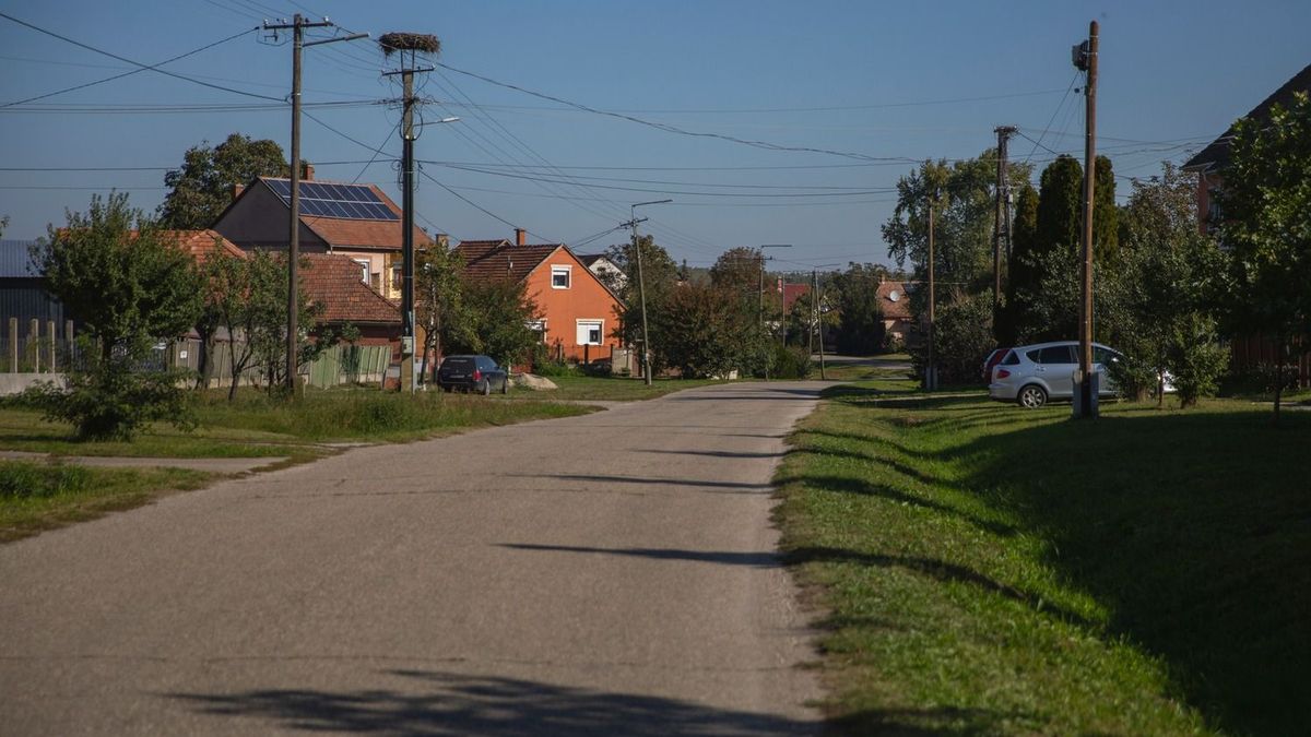 Zárlatot rendelnek el a fertőzés visszaszorítása érdekében! 73 hajdú-bihari település érintett