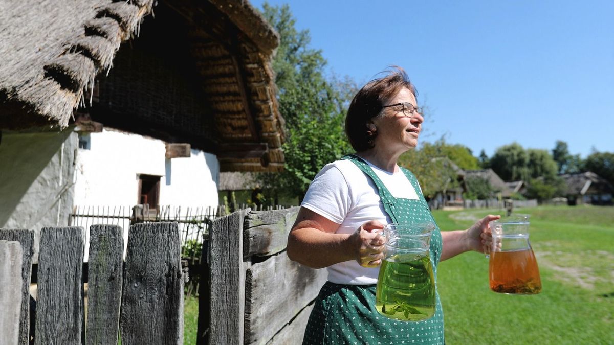 Hagyd meg másnak a drága készítményeket: ezek a tuti immunerősítők őszre