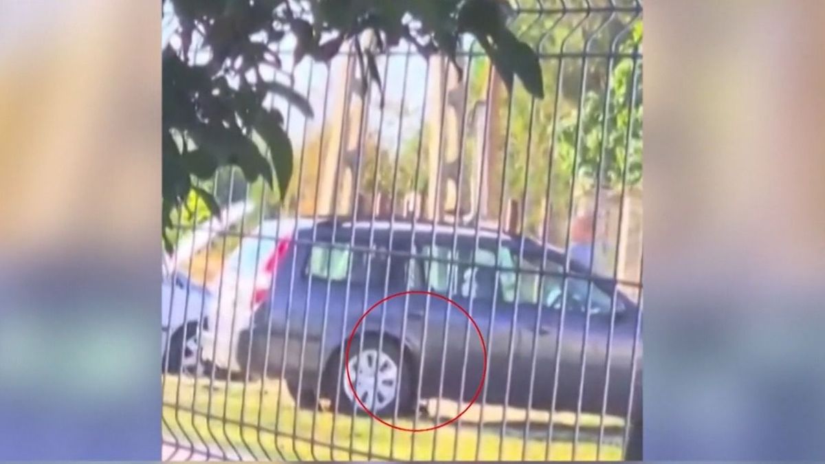 Ásós támadás rázta meg a hajdú-bihari település utcáját, túl durva jelenetet nézett végig az 5 éves kislány – videó
