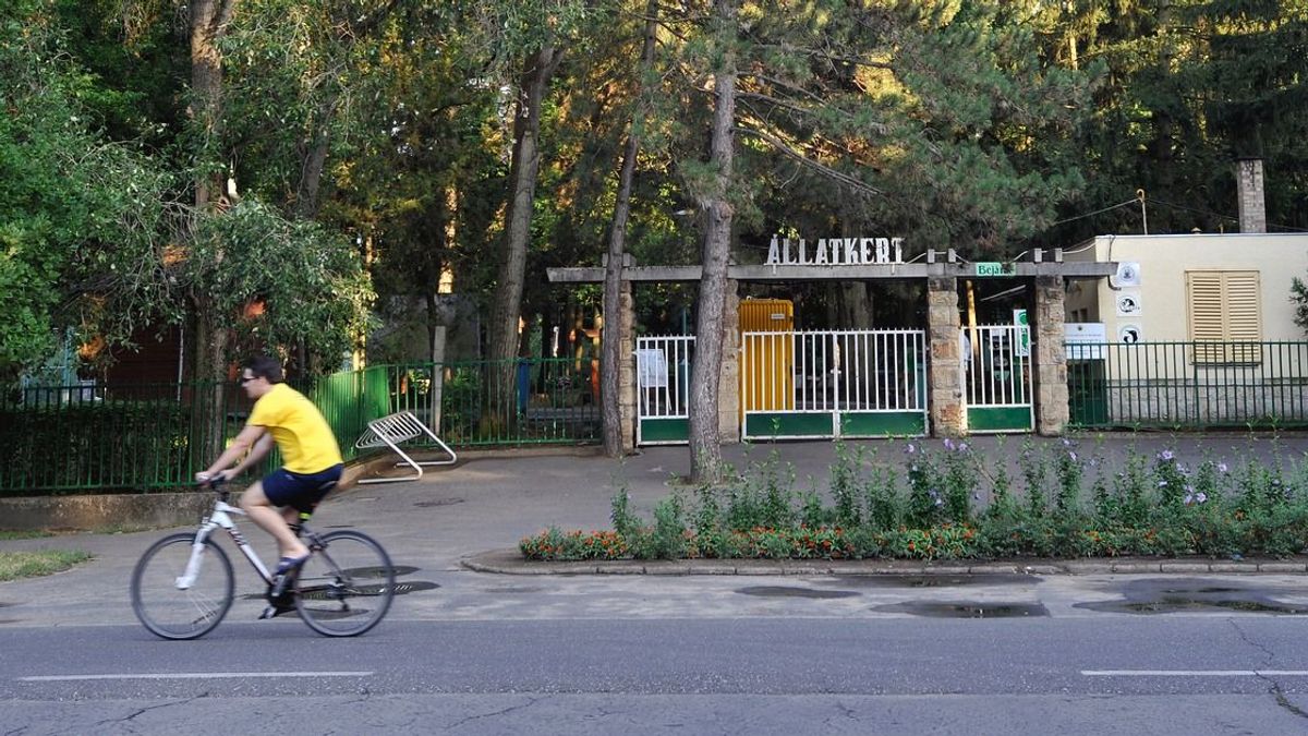 A Zoo Debrecen neve is napirendre került a város közgyűlésének ülésén