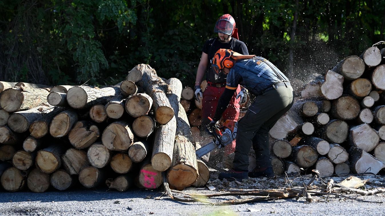 Haon Ezt kell tudni a 2026-os szociális tűzifa programról