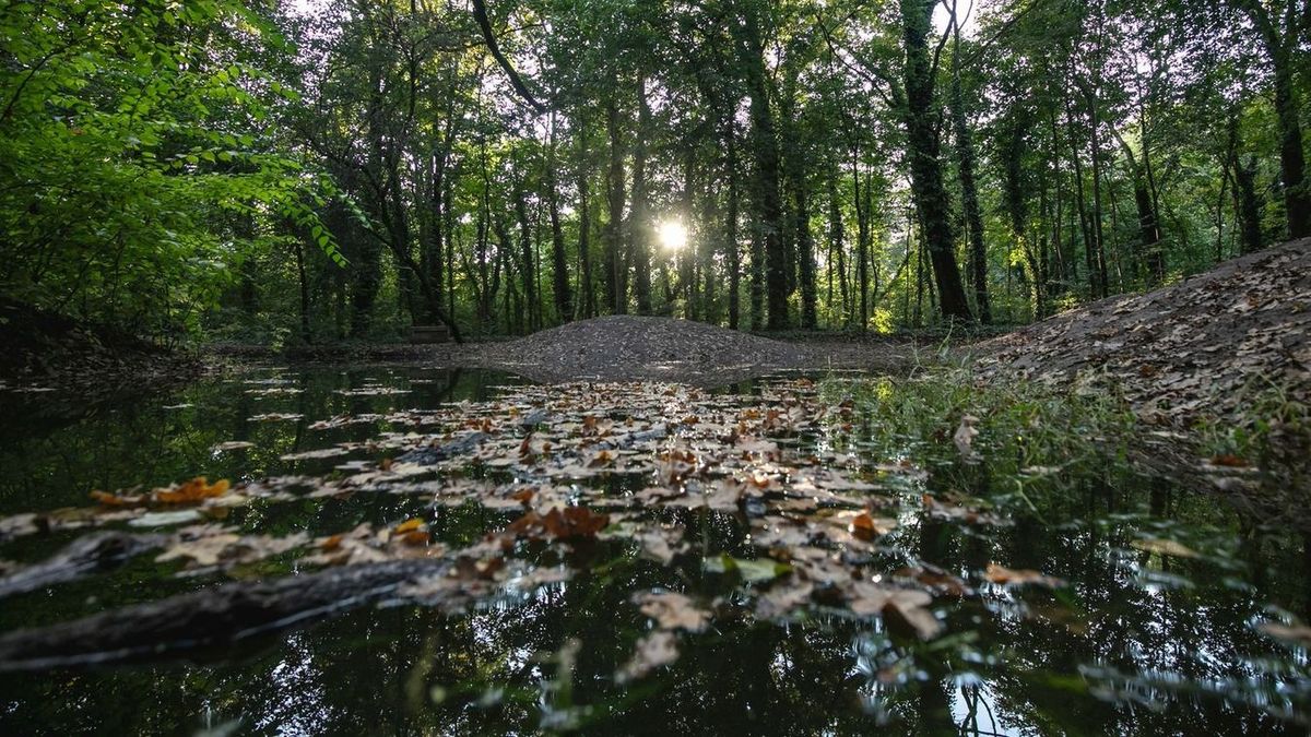 Titkos bunkert találtak a Nagyerdőn! Mutatjuk, hogy mit rejt – fotókkal!