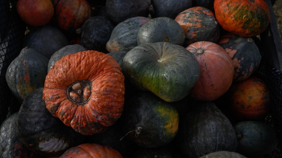 Halloween magyar módra – tökfaragás után a sütőtök is jöhet!