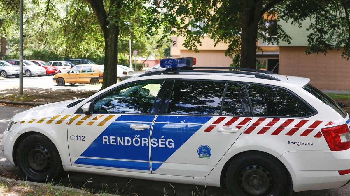 Letaposták a virágait, nem volt köszönet abban, amit ezután tett a nyugdíjas asszony Debrecenben