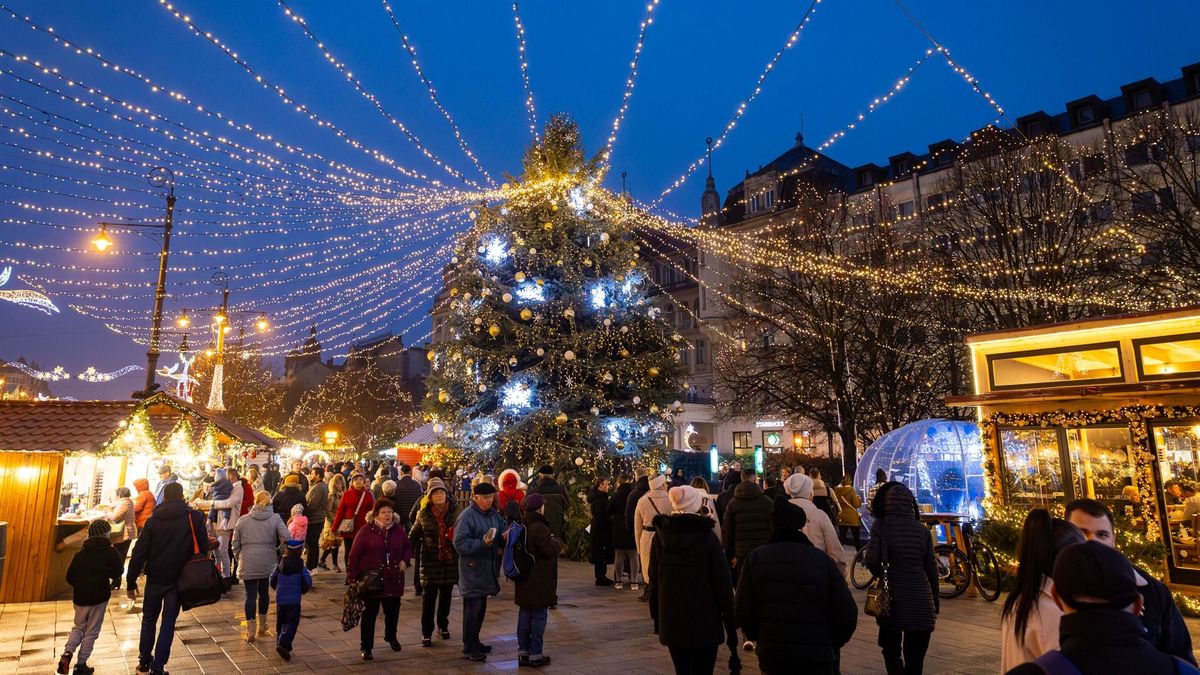 Ilyen fa kerülhet idén a Kossuth térre, keresik Debrecen karácsonyfáját