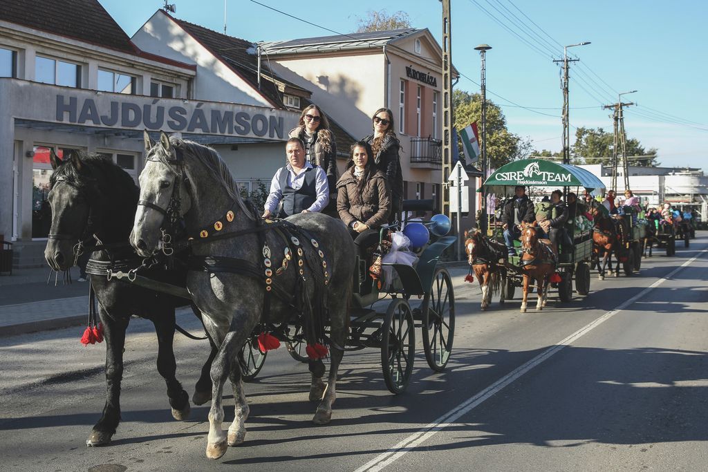 hétvégi programok, ingyenes programok, ingyenes programok debrecen, hétvégi programok hajdú-bihar, debreceni sokadalom, születi mulatság, debreceni régiségvásár, debrecen, haon