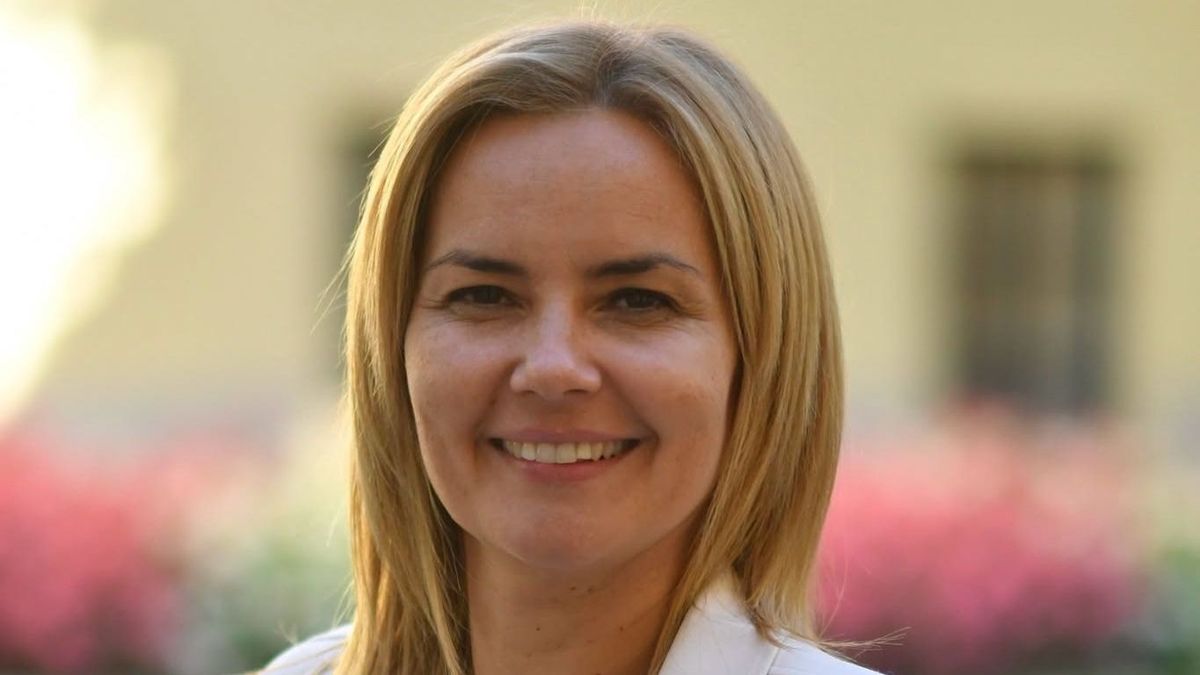 Széles Diána 10 pontban reagált Molnár Áron állításaira, megszólalt Tóth Gabival kapcsolatban is
